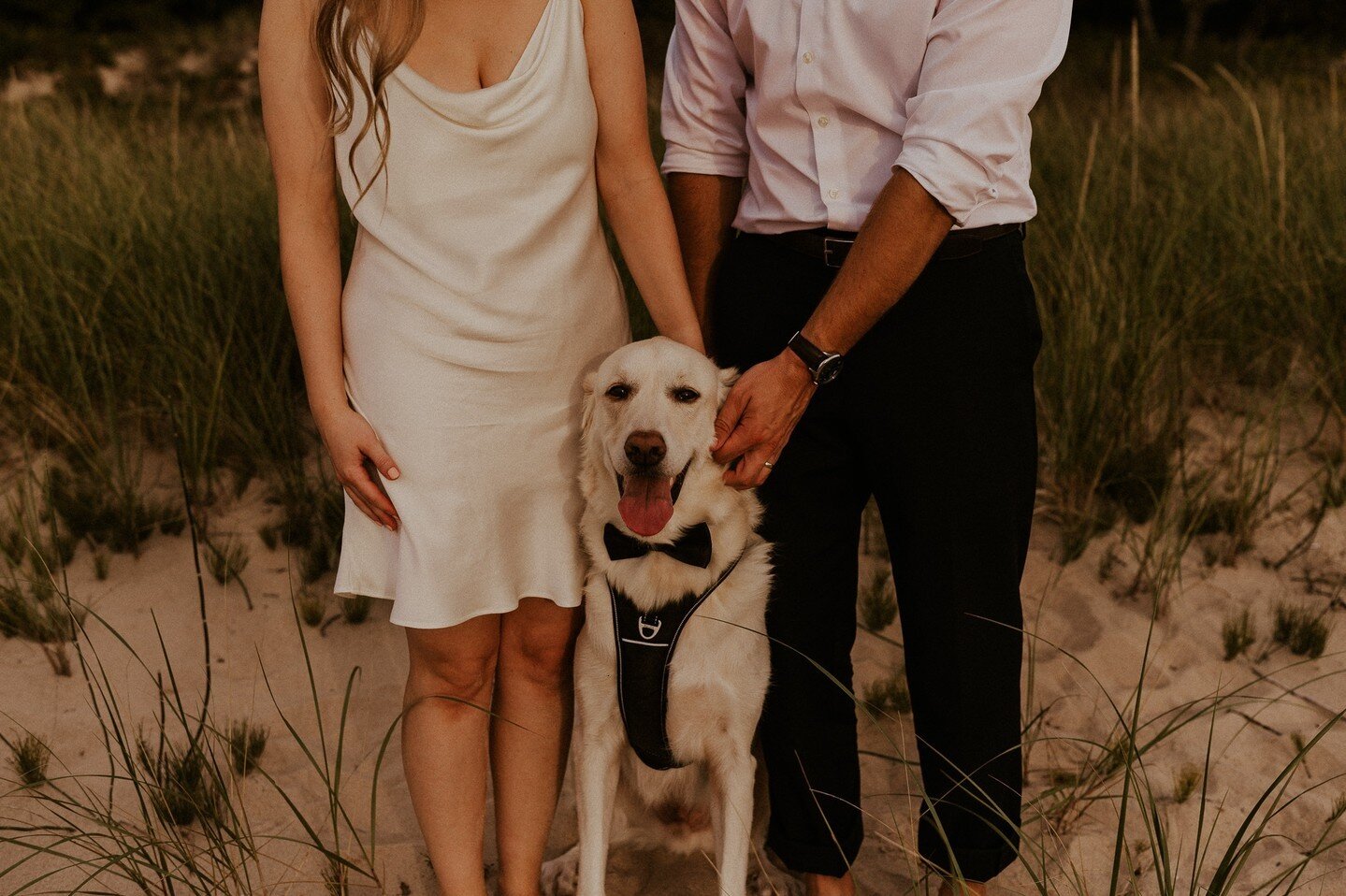 This week, I'm sharing how to include your dog in your elopement day, along with tips to make sure they are safe and comfortable. ⁠
⁠
If you decide to bring your dog(s) along on your elopement day, the first step is to check that dogs are allowed in 