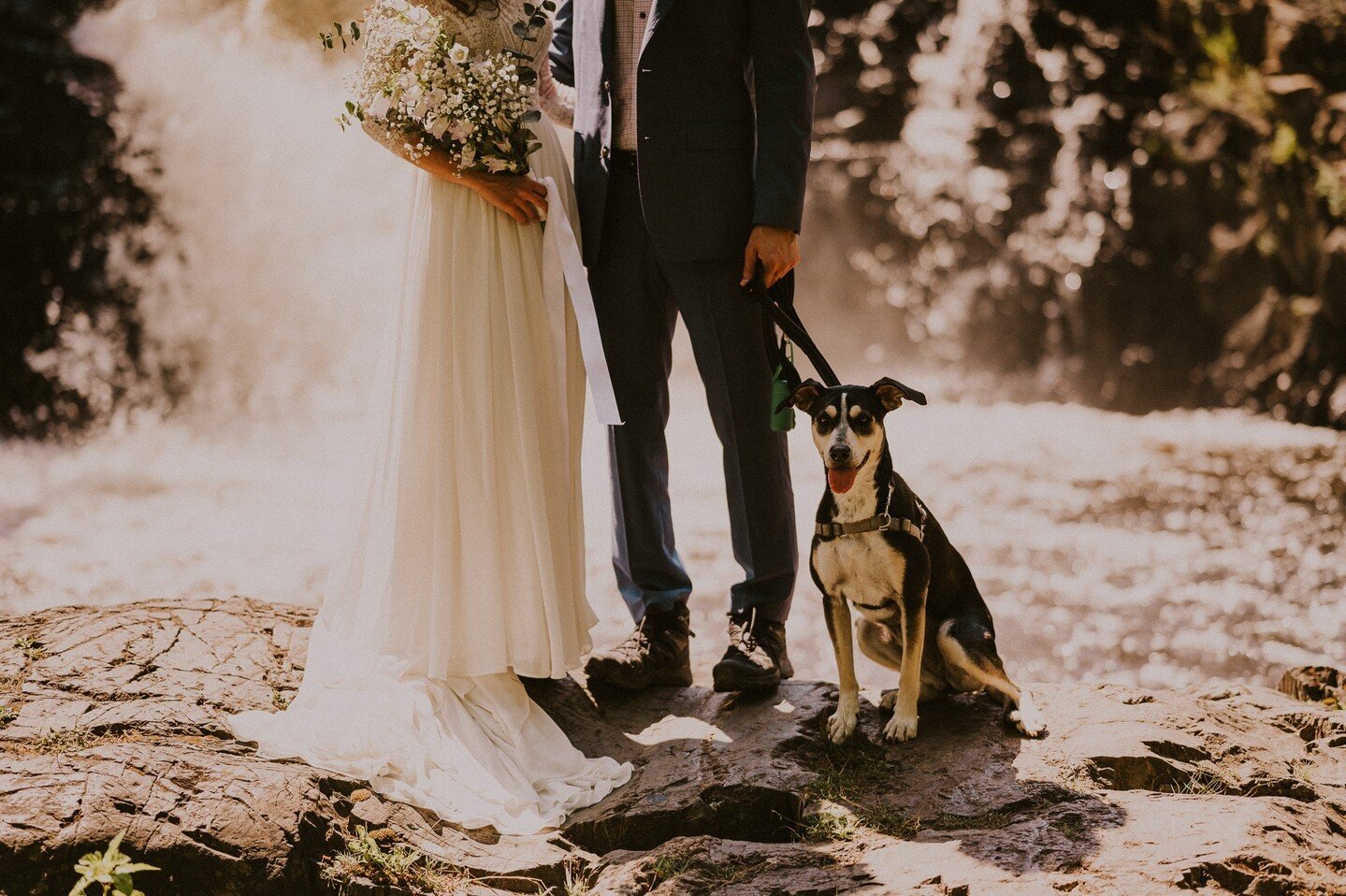 This week, I'm sharing how to include your dog in your elopement day, along with tips to make sure they are safe and comfortable. ⁠
⁠
Idea #3: GoPro Dog⁠
⁠
One of my favorite ideas for including your dog in your day is to put a GoPro harness on them 