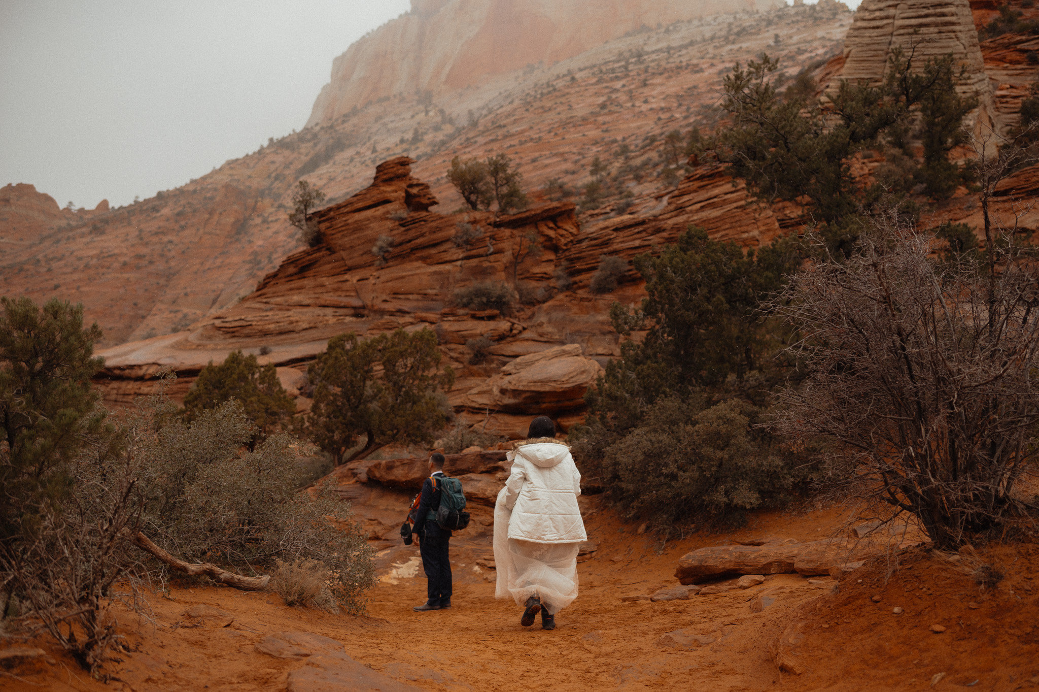 guide to eloping zion national park how to
