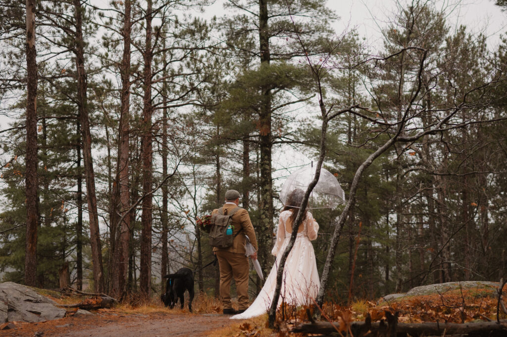 Michigan winter elopement with dog