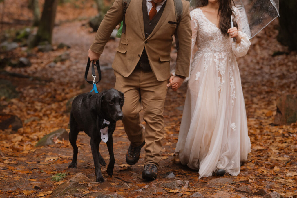 Michigan winter elopement with dog