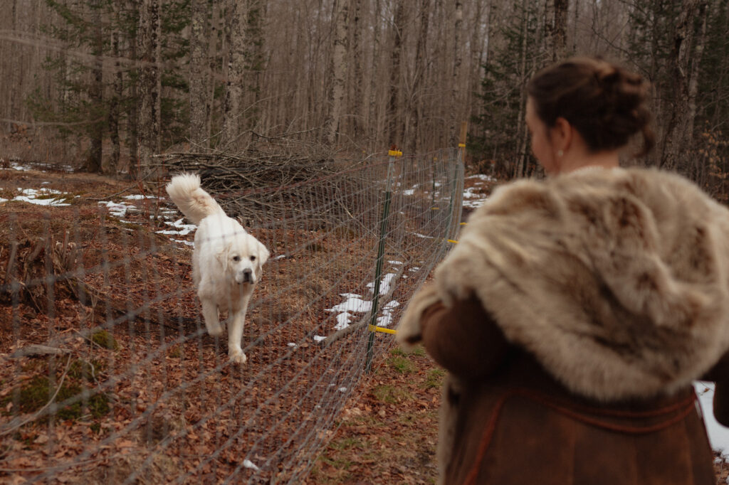 michigan upper peninsula winter elopement