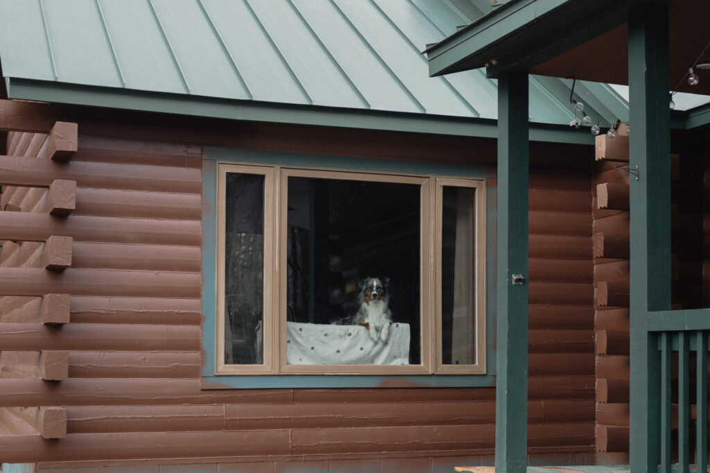 michigan upper peninsula winter elopement