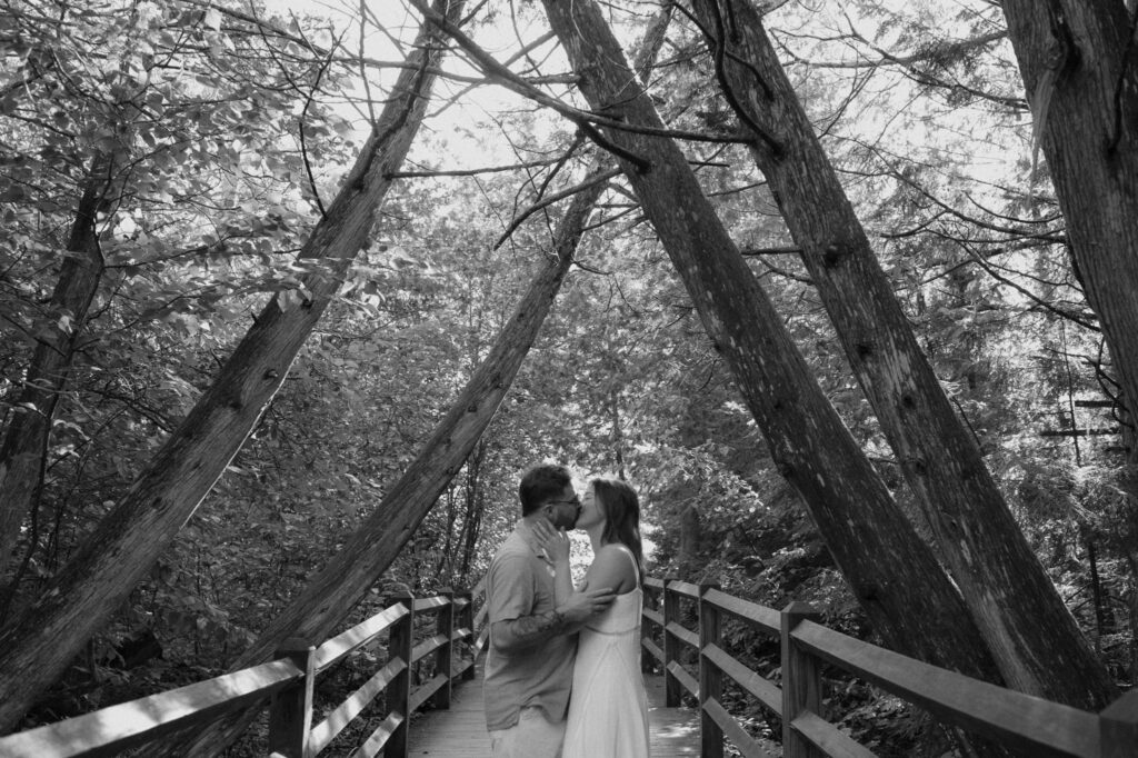 upper peninsula pine trees waterfall elopement