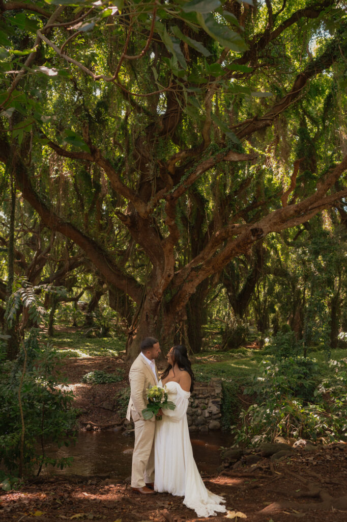 maui sunrise elopement