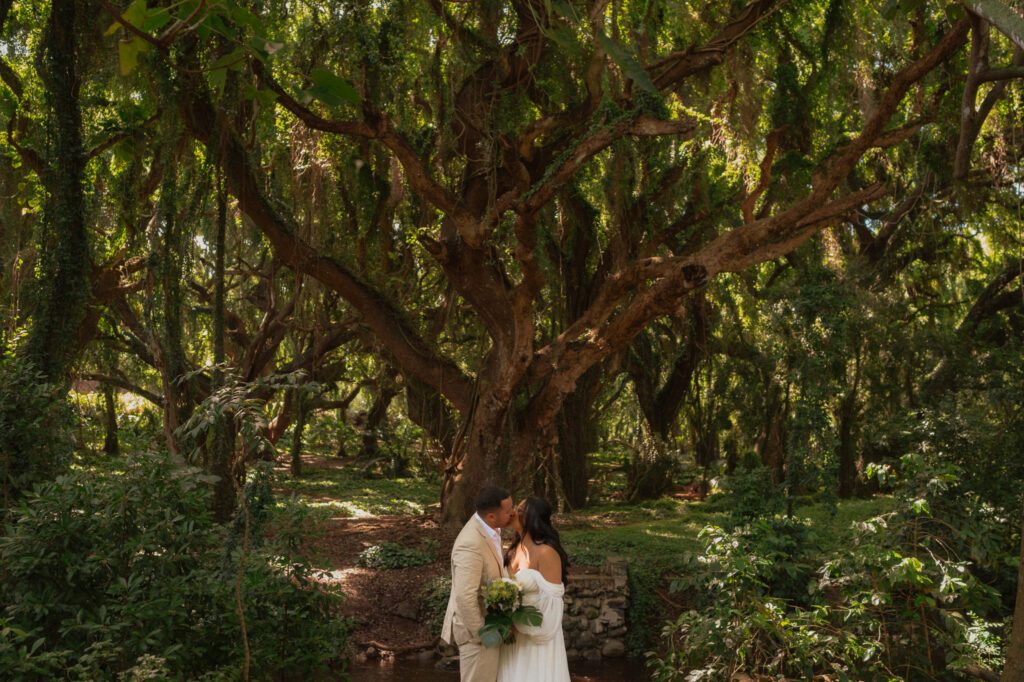 maui sunrise elopement