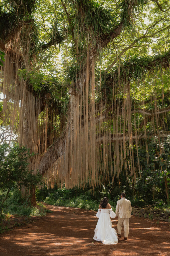 maui sunrise elopement