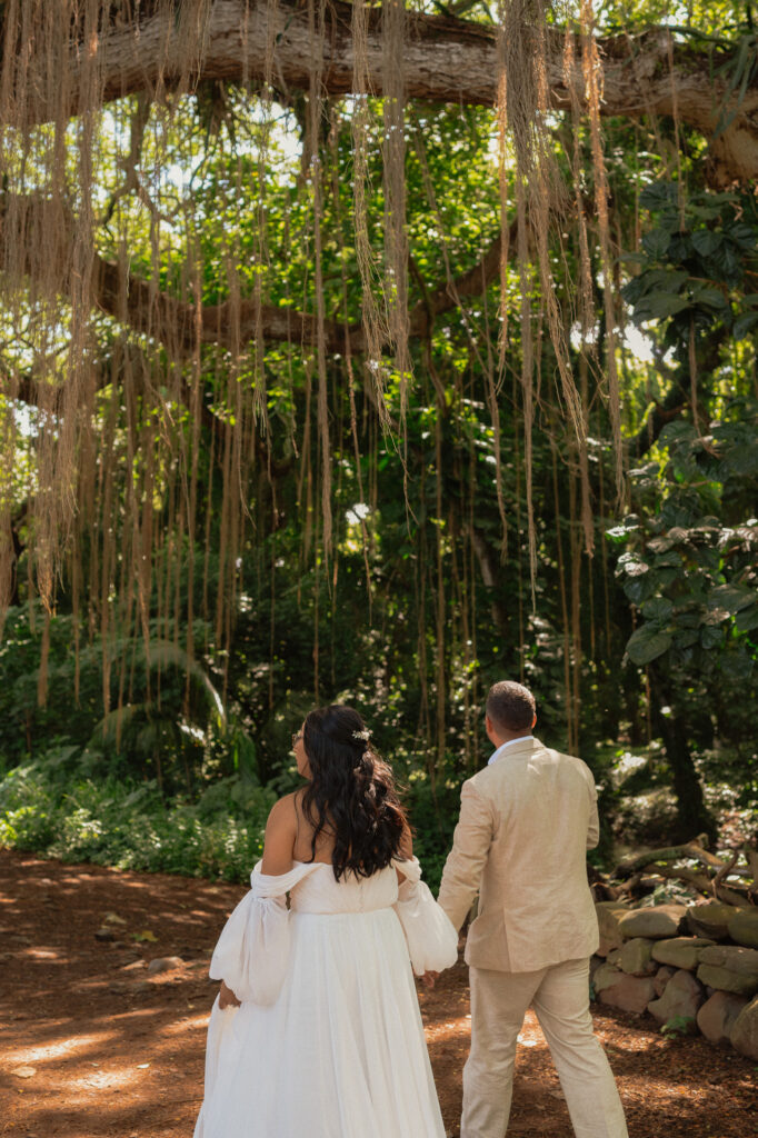 maui sunrise elopement