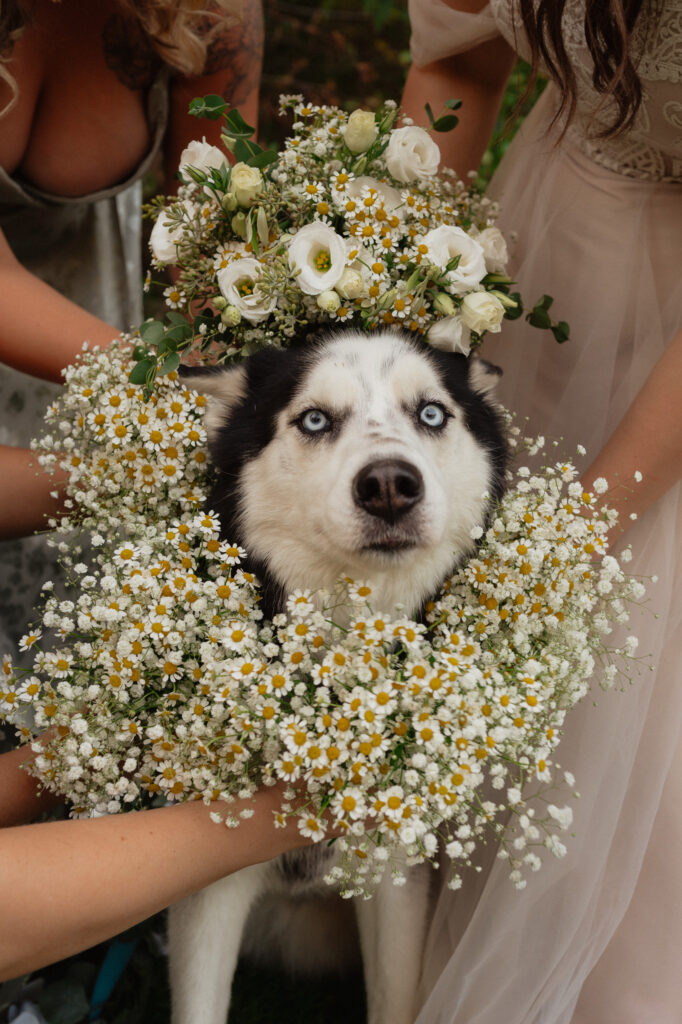 michigan greenhouse wedding