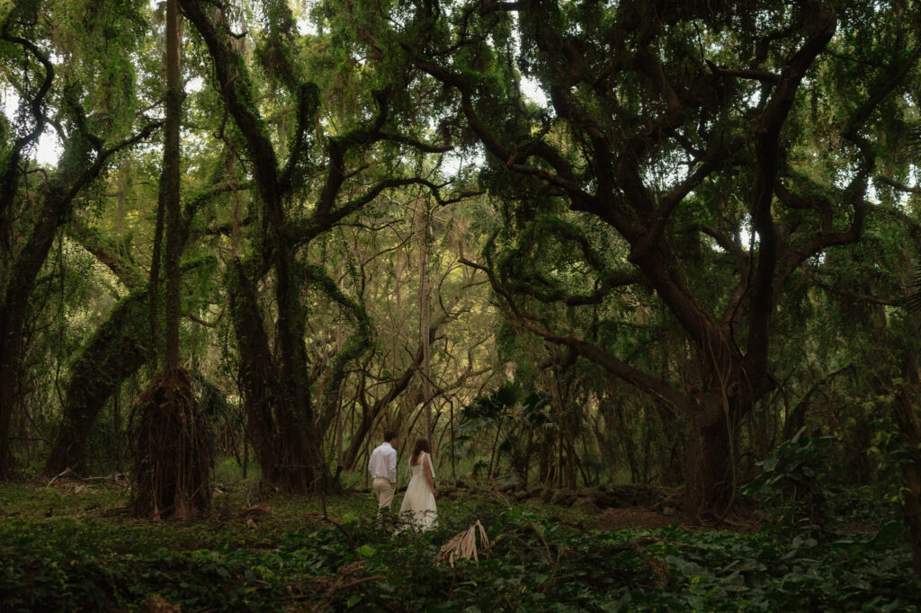 maui rainbow elopement