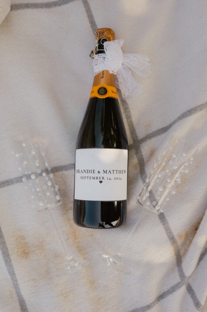 michigan beach vineyard elopement
