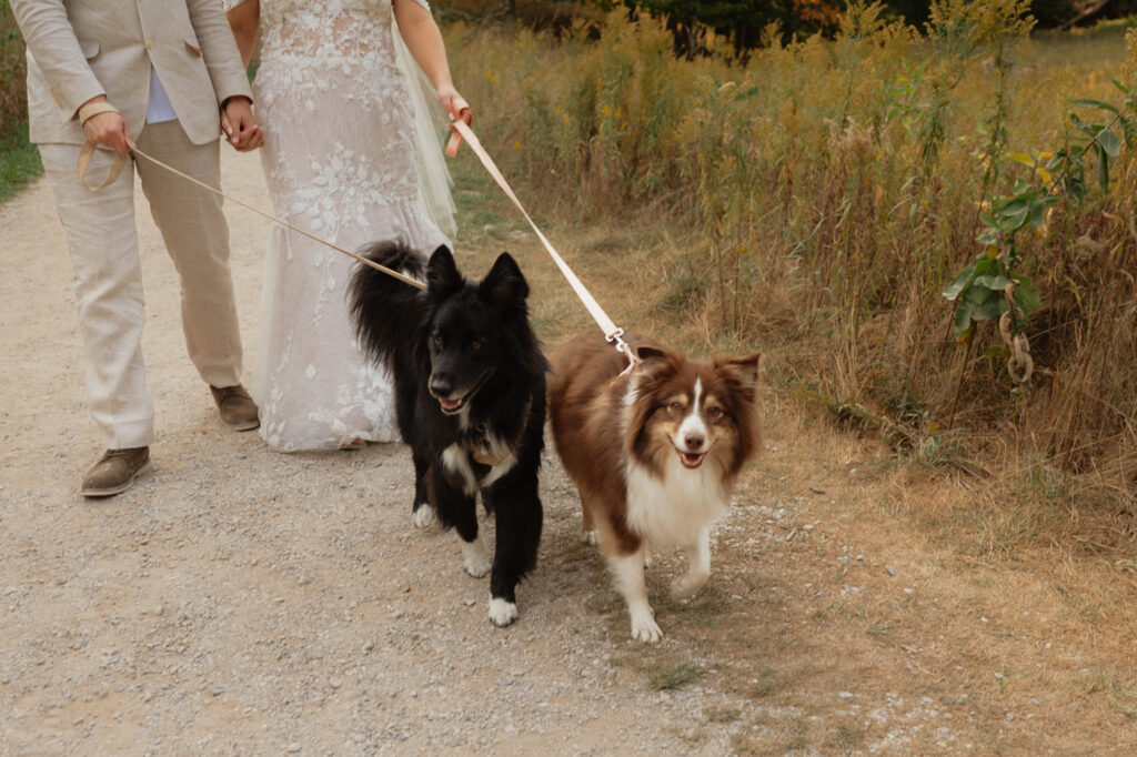 michigan beach vineyard elopement