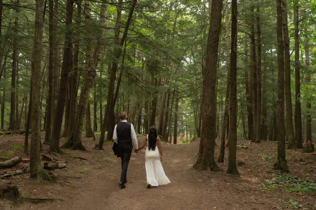 michigan elopement