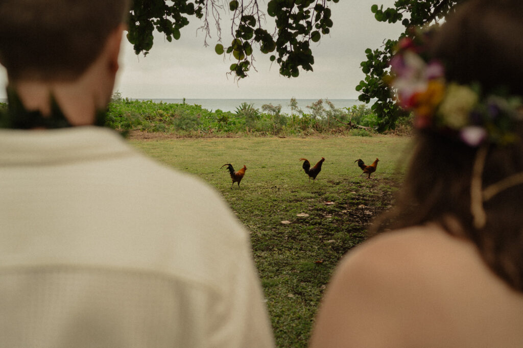kauai elopement