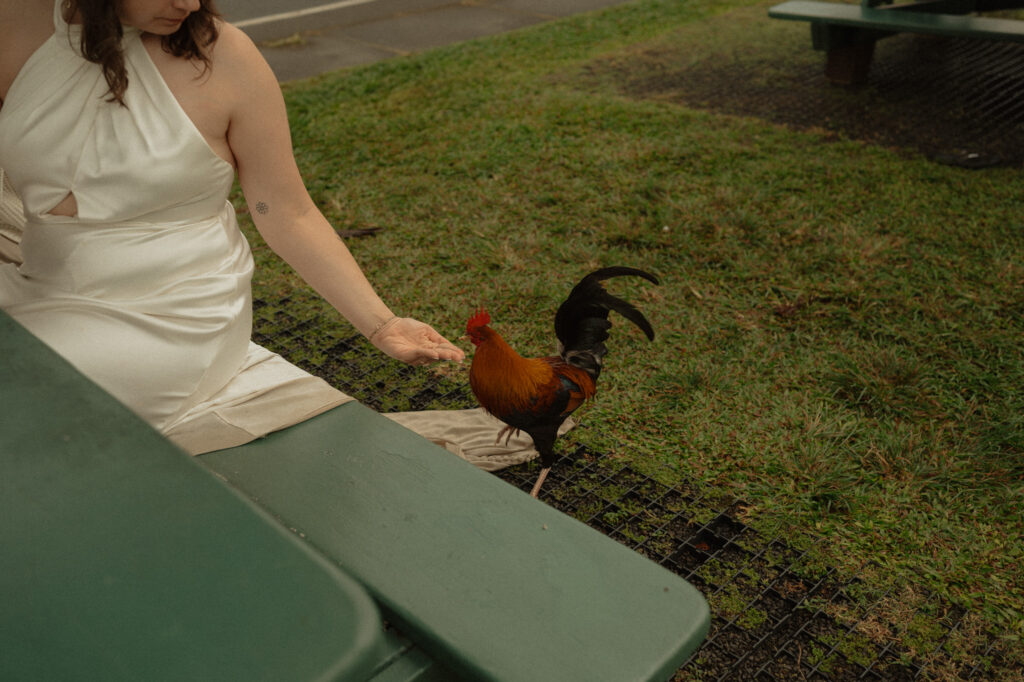 kauai elopement
