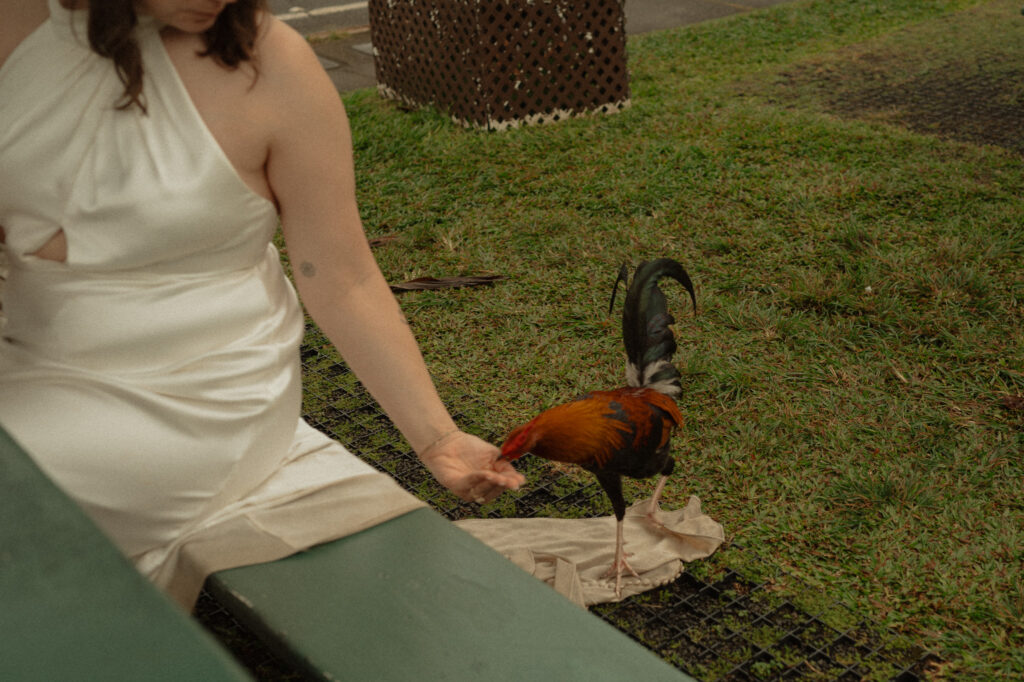 kauai elopement