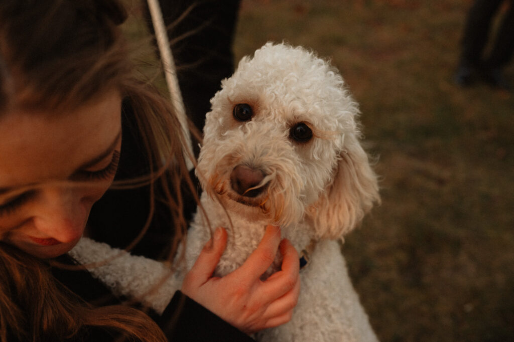 dog during marquette elopement