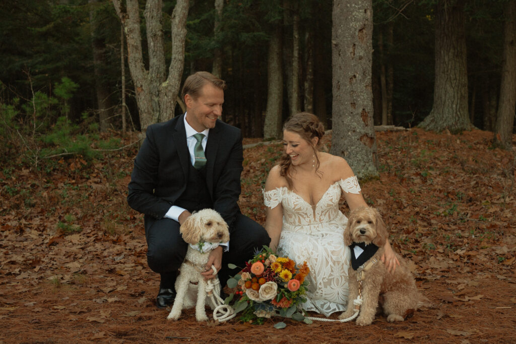 wedding couple with dogs in woods