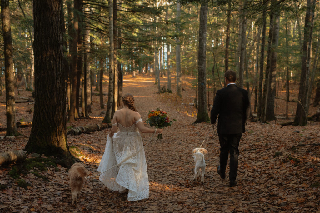 couple walks in woods with dogs during elopement