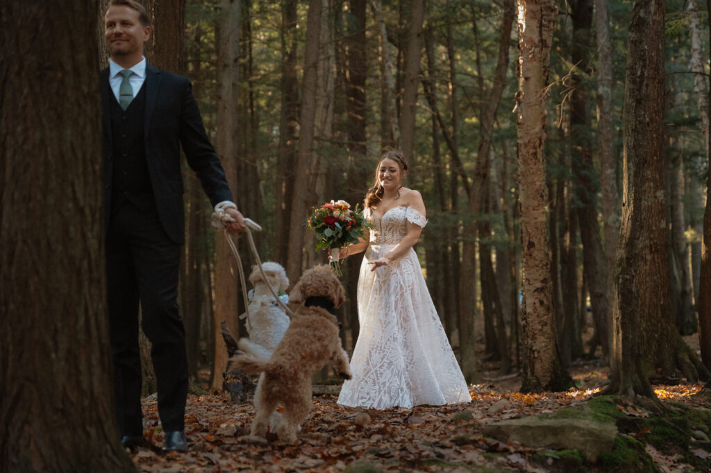 bride seeing excited dogs during first look